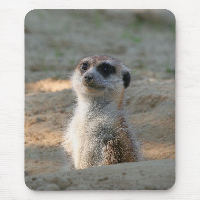 Meerkat 004 mouse pad (Front)