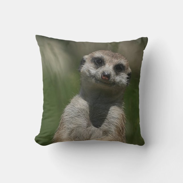 Meerkat 004 throw pillow (Front)