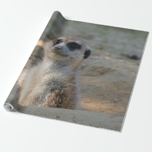 Meerkat 004 wrapping paper