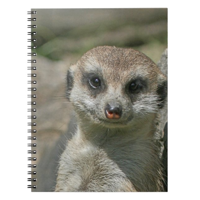 Meerkat 005 notebook (Front)