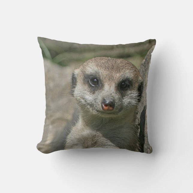 Meerkat 005 throw pillow (Front)