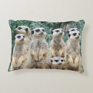 Meerkat 006 accent pillow