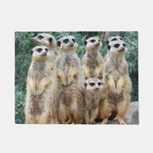 Meerkat 006 doormat (Front)