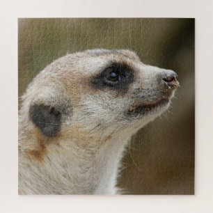 Meerkat_006 Jigsaw Puzzle