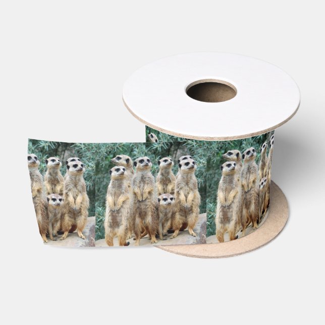 Meerkat 006 satin ribbon (Spool)