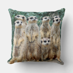 Meerkat 006 throw pillow