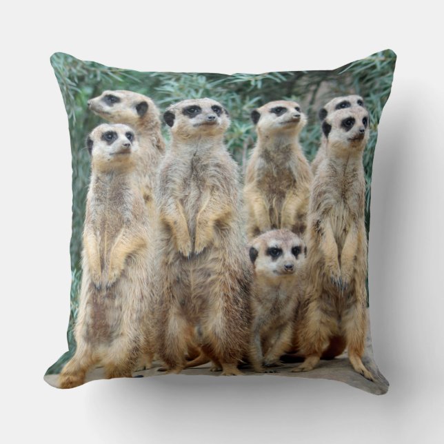 Meerkat 006 throw pillow (Front)