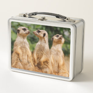 Meerkat 007 metal lunch box