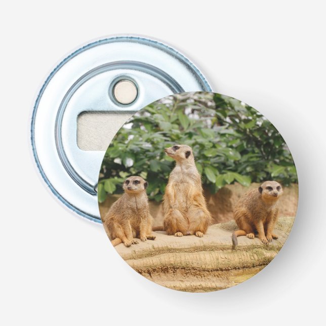 Meerkat 008 bottle opener (Front)