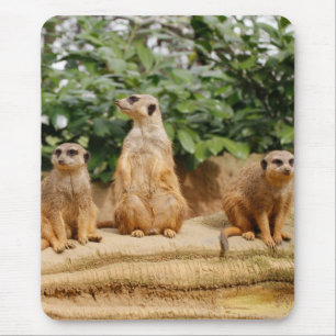 Meerkat 008 mouse pad