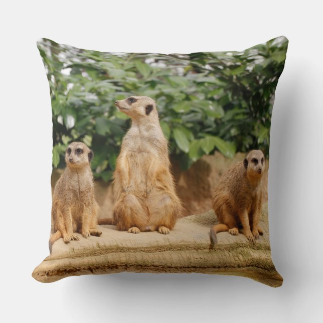 Meerkat 008 throw pillow (Front)