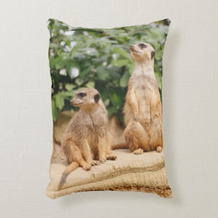 Meerkat 009 accent pillow