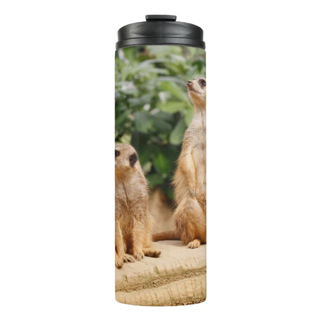 Meerkat 009 thermal tumbler (Front)