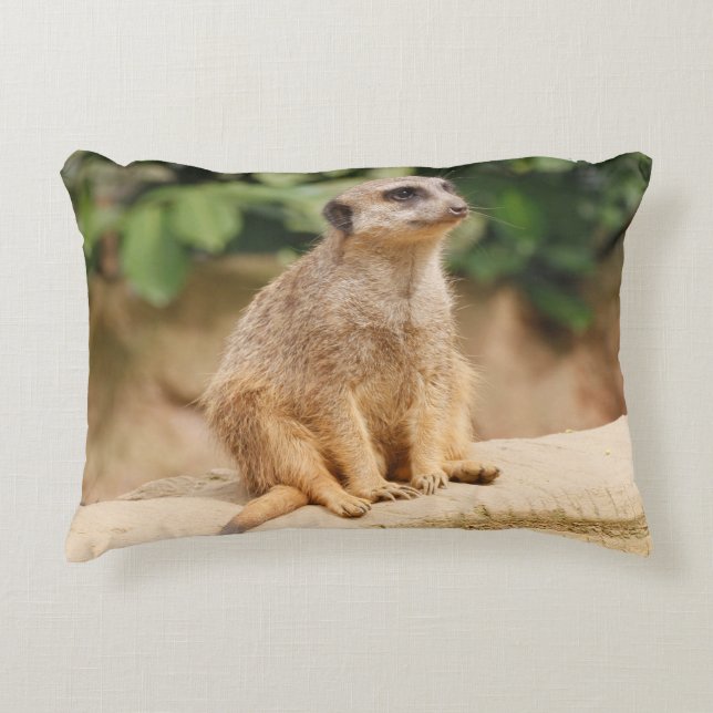 Meerkat 010 accent pillow (Front)
