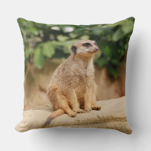 Meerkat 010 throw pillow