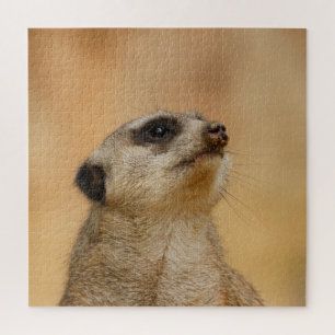 Meerkat 011 jigsaw puzzle