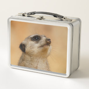 Meerkat 011 metal lunch box