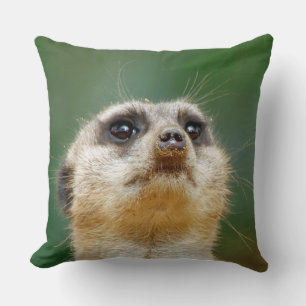 Meerkat 012 throw pillow