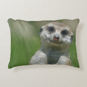 Meerkat 013 accent pillow