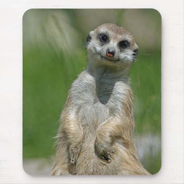 Meerkat 013 mouse pad (Front)