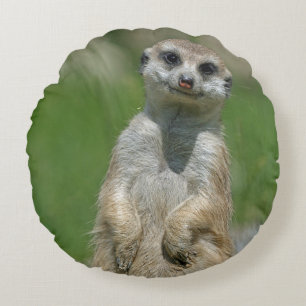 Meerkat 013 round pillow