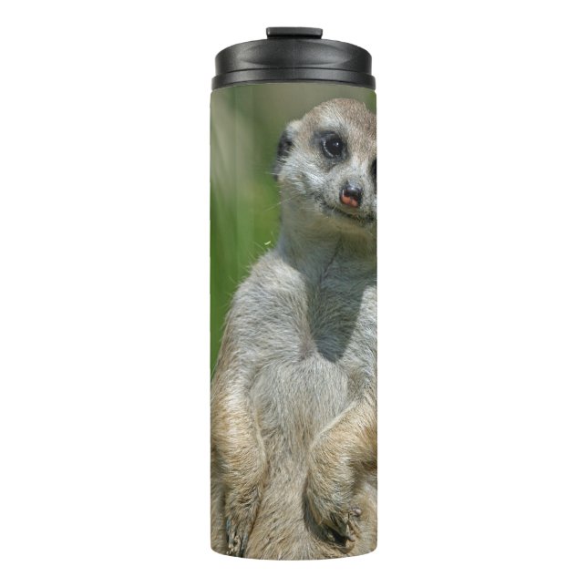 Meerkat 013 thermal tumbler (Front)