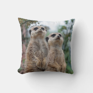 Meerkat 013 throw pillow