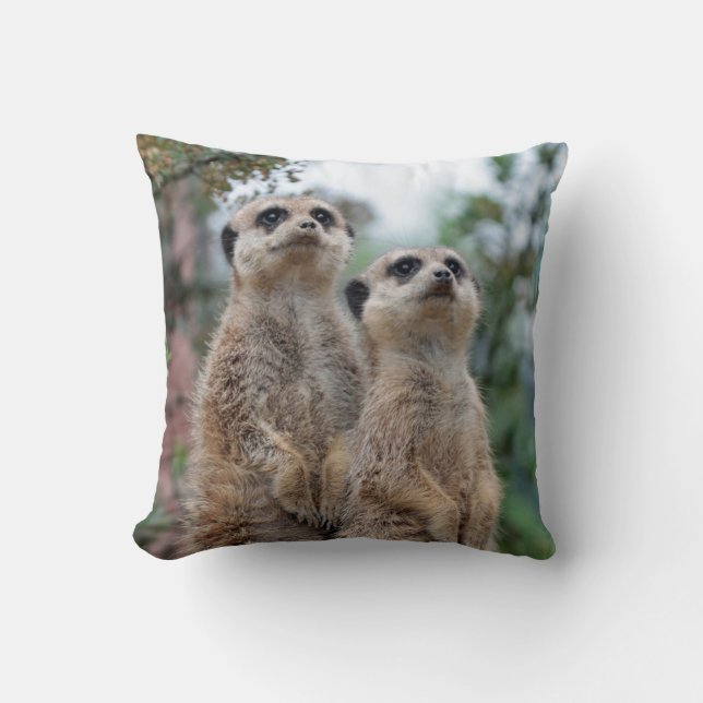 Meerkat 013 throw pillow (Front)