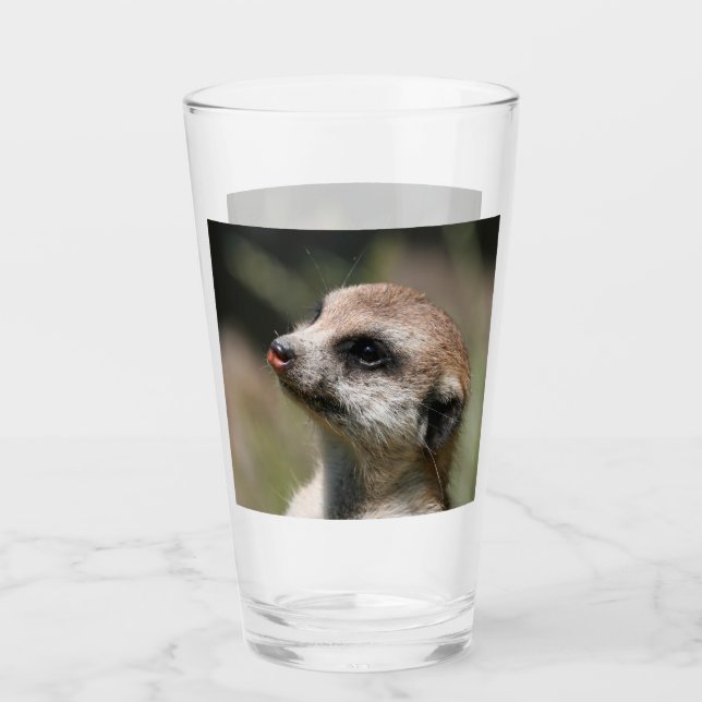 Meerkat 014 glass (Front)