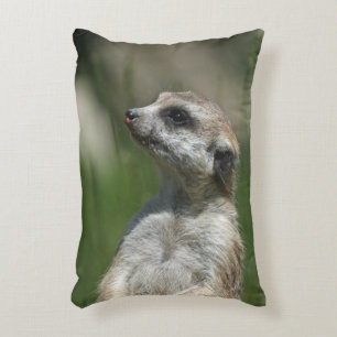 Meerkat 015 accent pillow