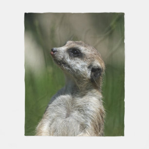 Meerkat 015 fleece blanket
