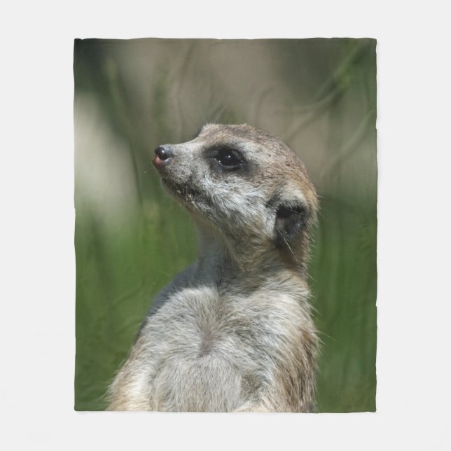Meerkat 015 fleece blanket (Front)
