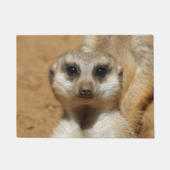 Meerkat 016 doormat (Front)