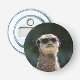 Meerkat 017 bottle opener