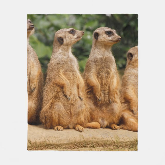 Meerkat 018 fleece blanket (Front)