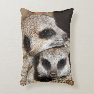 Meerkat 019 accent pillow