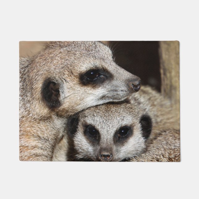 Meerkat 019 doormat (Front)