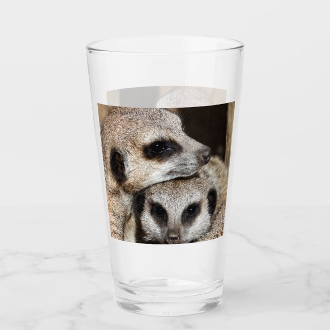 Meerkat 019 glass (Front)
