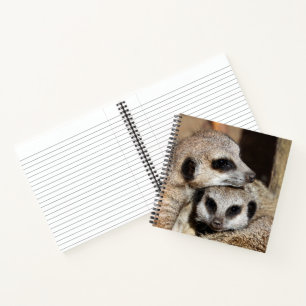 Meerkat 019 notebook