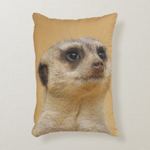 Meerkat 020 accent pillow