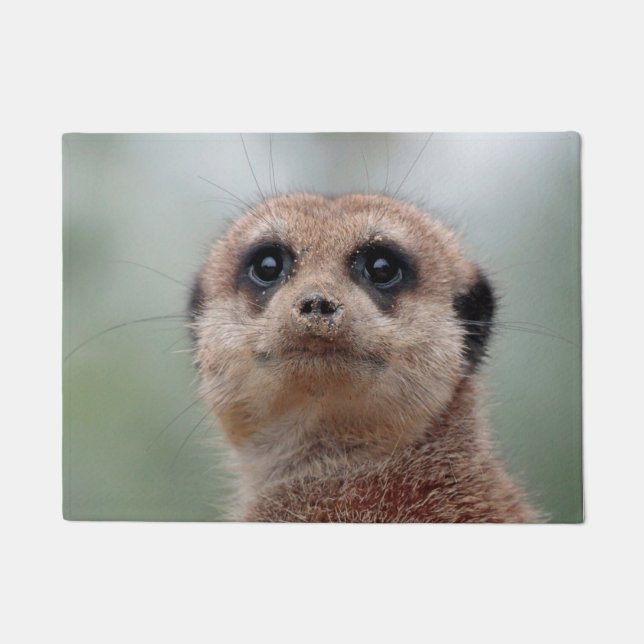 Meerkat 020 doormat (Front)