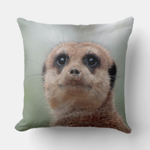 Meerkat 020 throw pillow