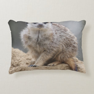 Meerkat 021 accent pillow