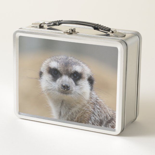 Meerkat 022 metal lunch box (Front)