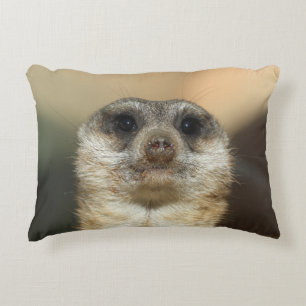 Meerkat 023 accent pillow