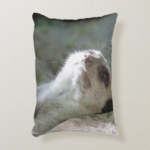 Meerkat 024 accent pillow