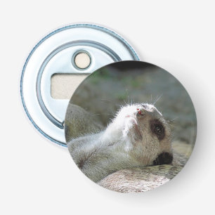 Meerkat 024 bottle opener