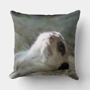Meerkat 024 throw pillow