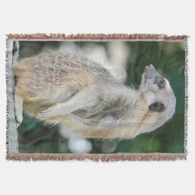 Meerkat 025 throw blanket (Front)