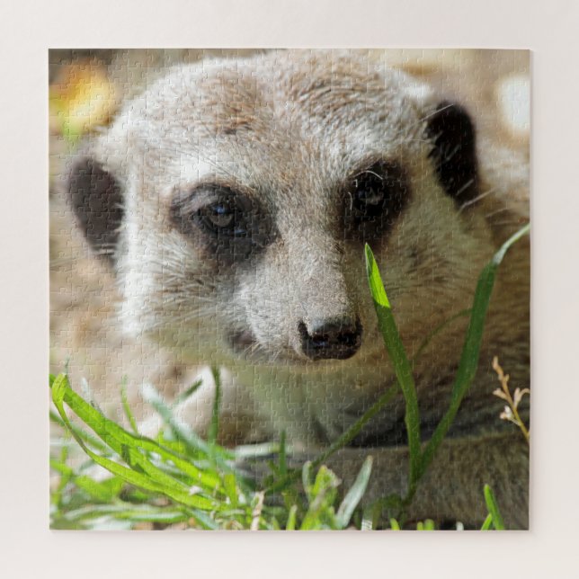 Meerkat 026 jigsaw puzzle (Vertical)